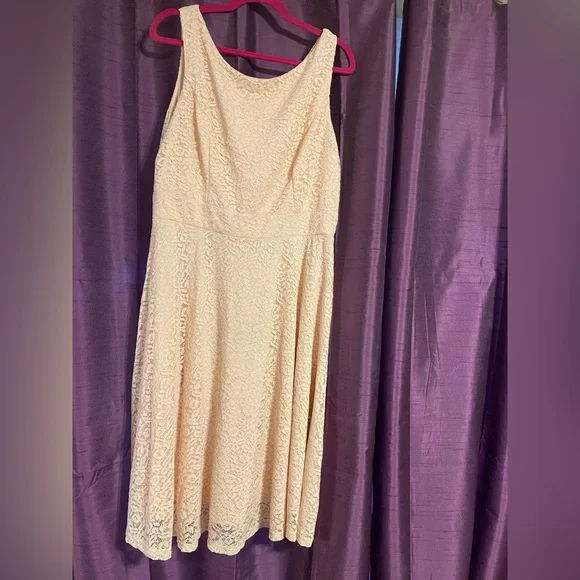 Light pink lace dress - Picture 8 of 9